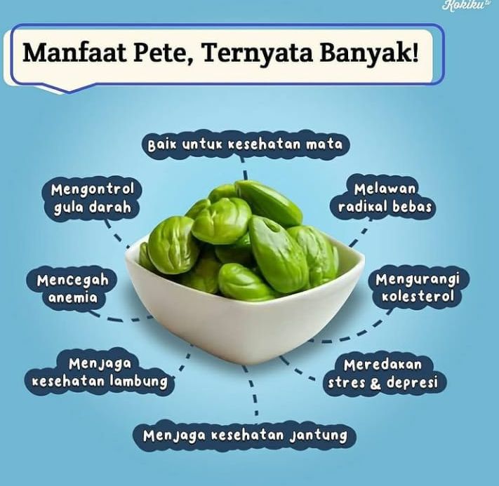 Sudah Tahu Belum Inilah Berbagai Manfaat Pete Untuk Kesehatan Warta Bulukumba