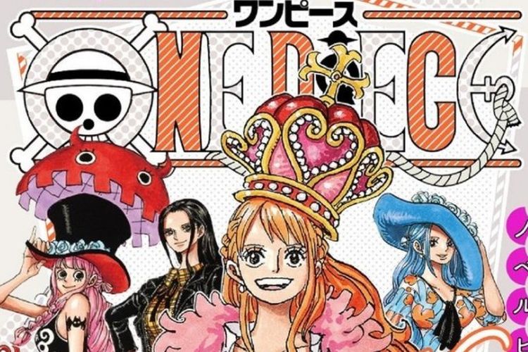 One piece novel