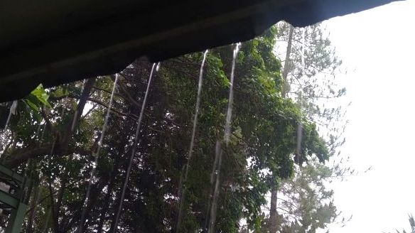 Hujan dengan intensitas ringan hingga sedang Senin 23 Oktober 2023 guyur sejumlah wilayah Kota Bandung.