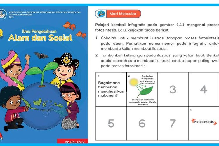 Kunci Jawaban IPAS Kelas Halaman Ilustrasi Tahapan Proses Fotosintesis Pada Daun Bab