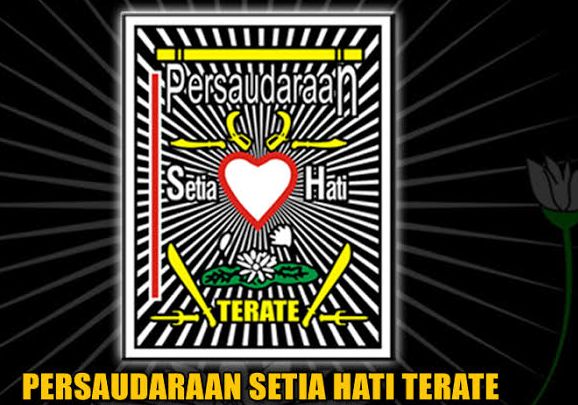 Logo PSHT