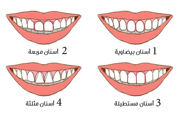 Ilustrasi bentuk gigi yang ungkap kepribadian.