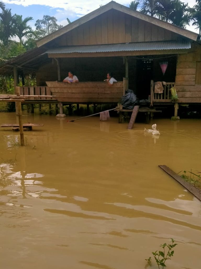 Kondisi rumsh yang terdampak banjir di Kabupaten Kepulauan Mentawai pada Selasa 20 September 2022.