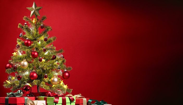 22 Fakta Menarik Pohon Natal yang Jarang Diketahui, Dihiasi Banyak Pernak-pernik
