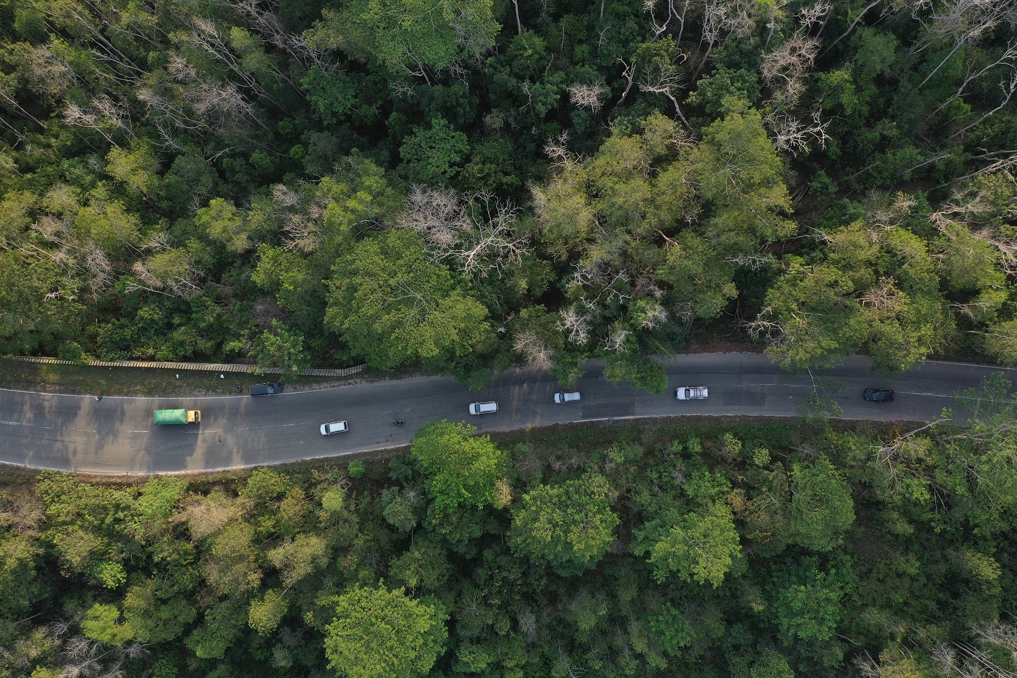 Foto aerial Taman Hutan Raya (Tahura) Bukit Soeharto yang merupakan hutan konservasi di kawasan ibu /Akbar Nugroho Gumay/ANTARA FOTO