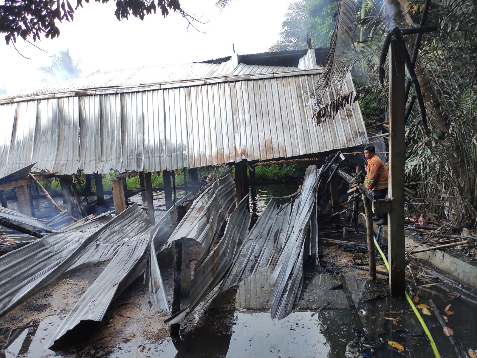 Ludes, Sebuah Kandang Ayam dan 10 Ribu Ayam Hangus Terbakar di Desa Brobot Kecamatan Bojongsari Kabu